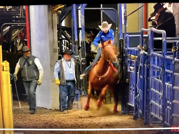 Donna Kay Rule Racing Accident; Professional Racer Identified as Victim Killed in Tragic Accident in Alley Way at NFR